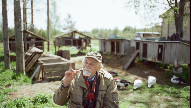 Ivars Seleckis