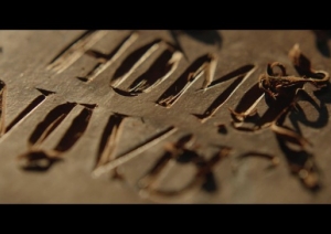 Homo Novus