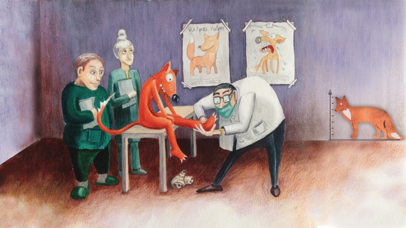 Crazy Fox and Doctors