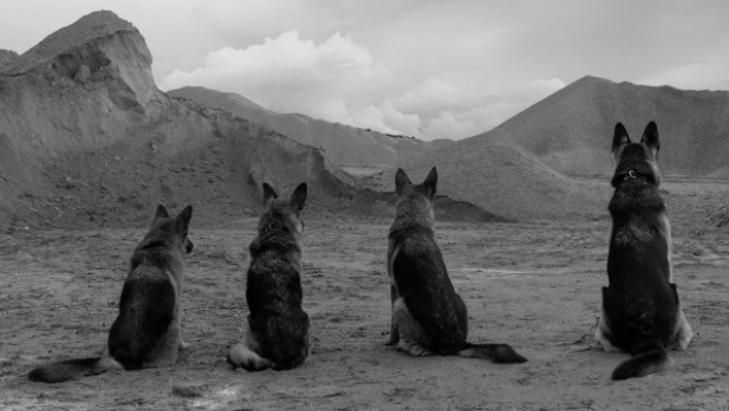 “Dawn” returns home with the Jury Prize for Wojciech Staron