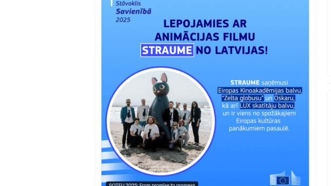 Straumes komanda ar kaķi