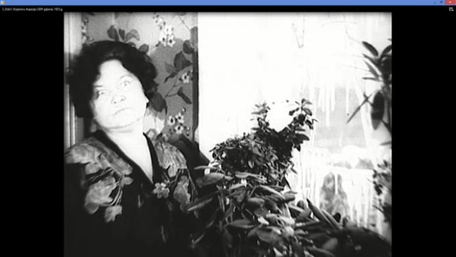 Sākas kinovakari Doma dārzā