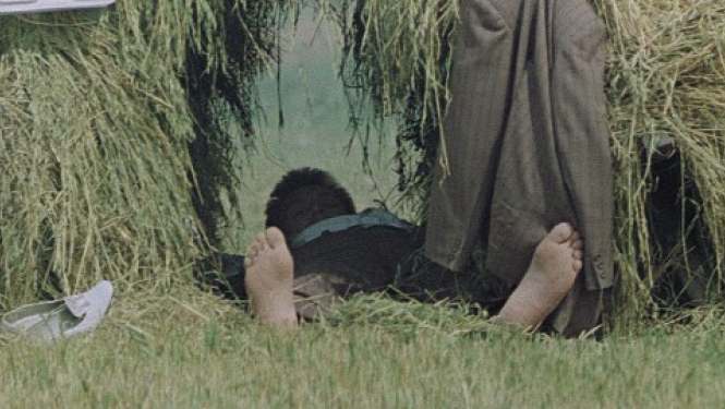 Portālā filmas.lv – drošības komplekts Līgo svētkiem