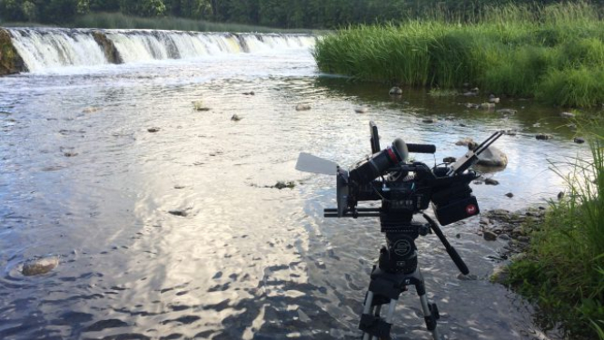 Drosmīgas Latvijas filmas festivāla “Lampa” Valsts mājā