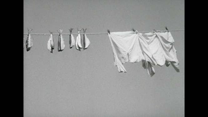 Ciklā “Nepārejošā Latvija. Personības” – Aivars Freimanis