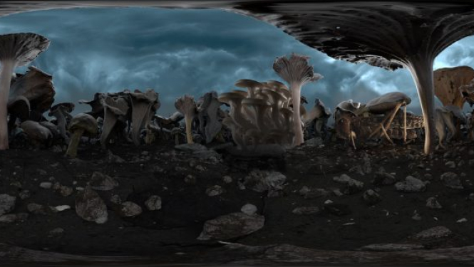 Sākas starptautiskais īsfilmu festivāls 2ANNAS