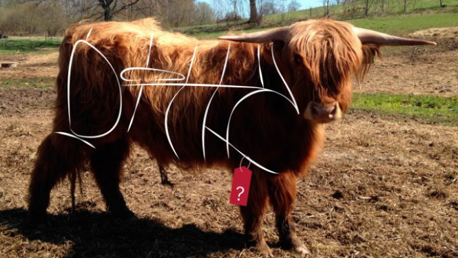 Baltijas jūras dokumentālo filmu forumam atlasīti 25 filmu projekti no 20 valstīm