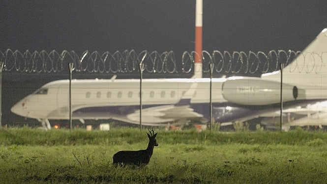 lidmašīna un stirna