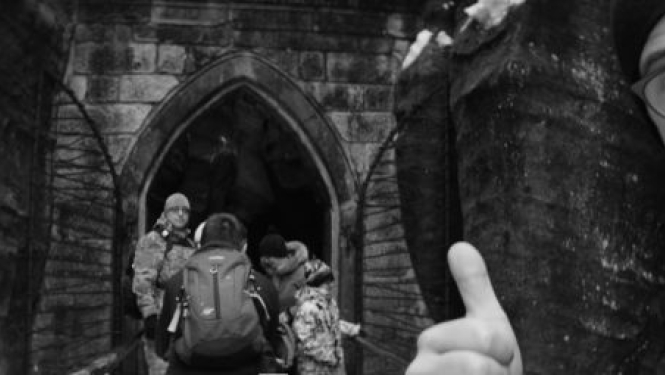 NFC Family Film Contest Results