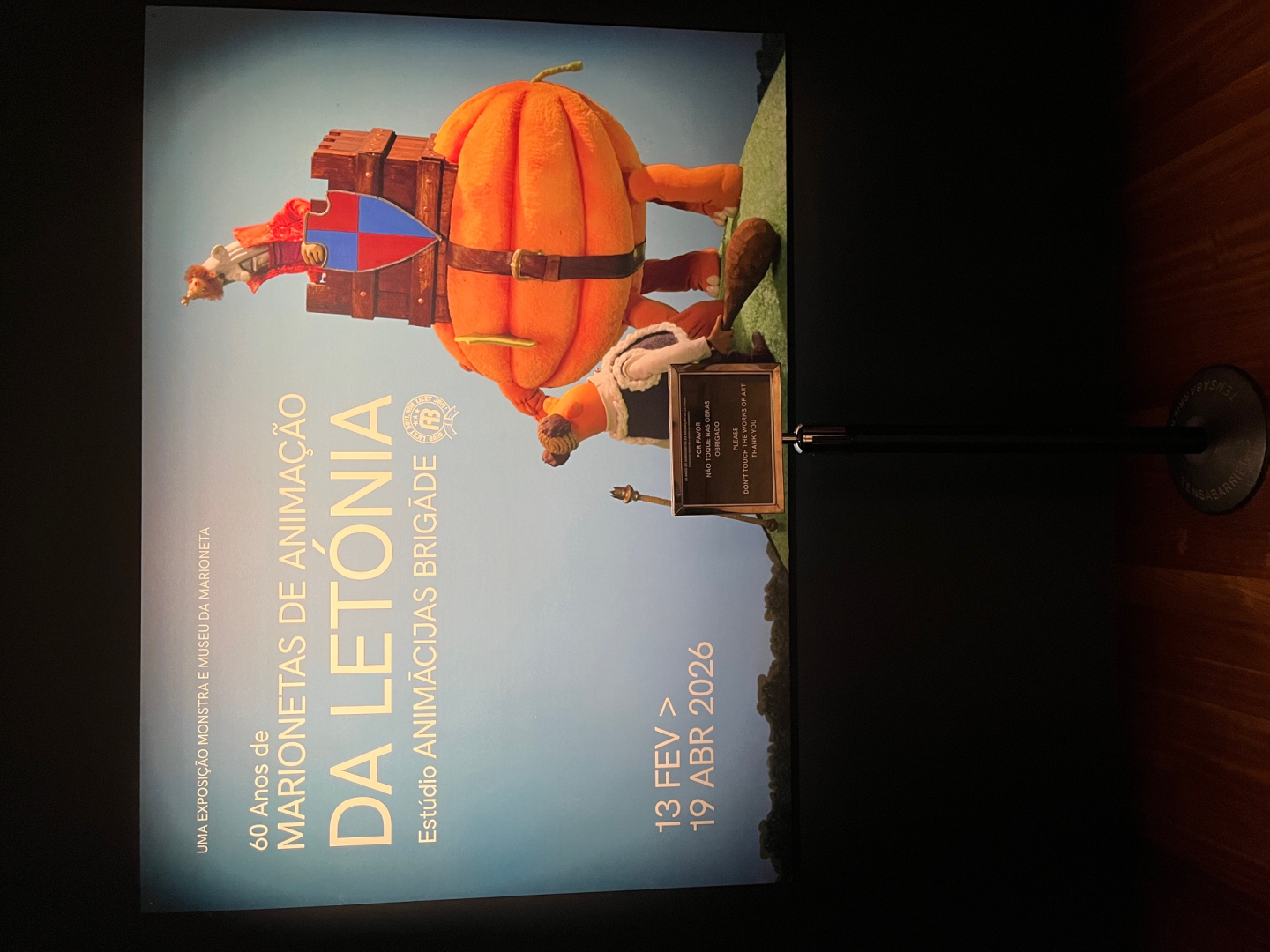 skats leļļu izstādē