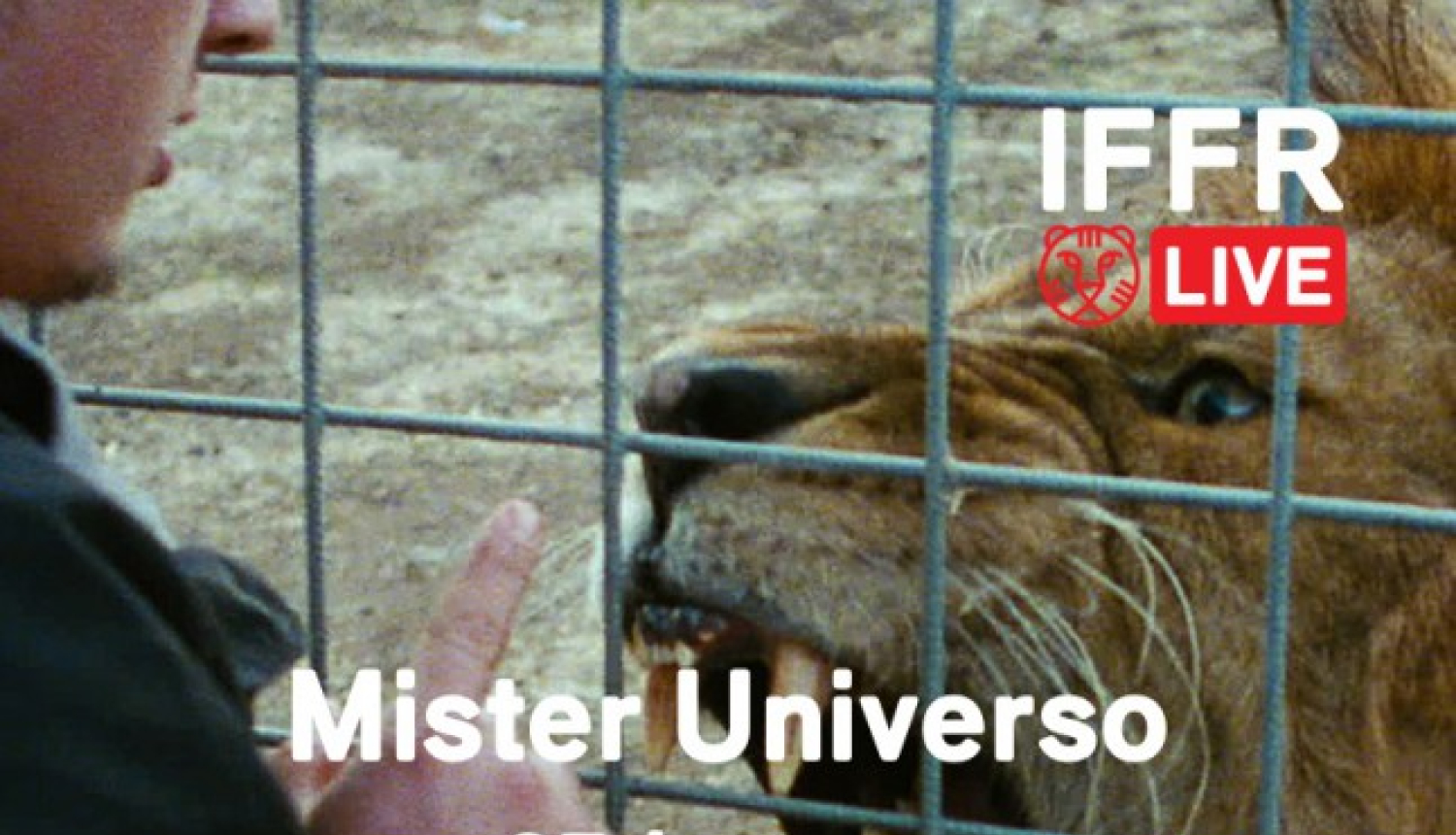 Programma “IFFR Live” kinoteātrī “Kino Bize”