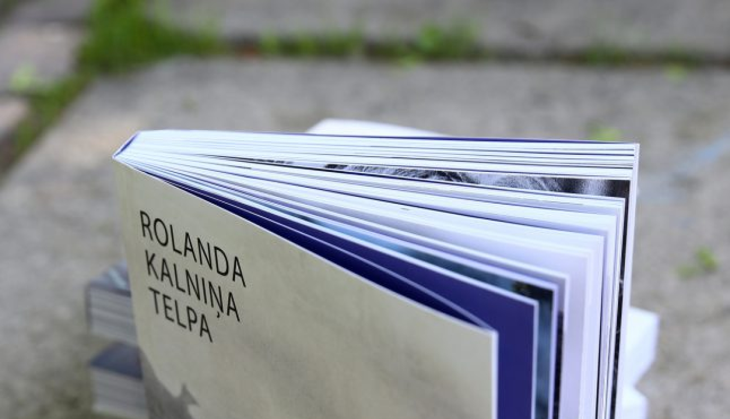 Iznākusi grāmata “Rolanda Kalniņa telpa”