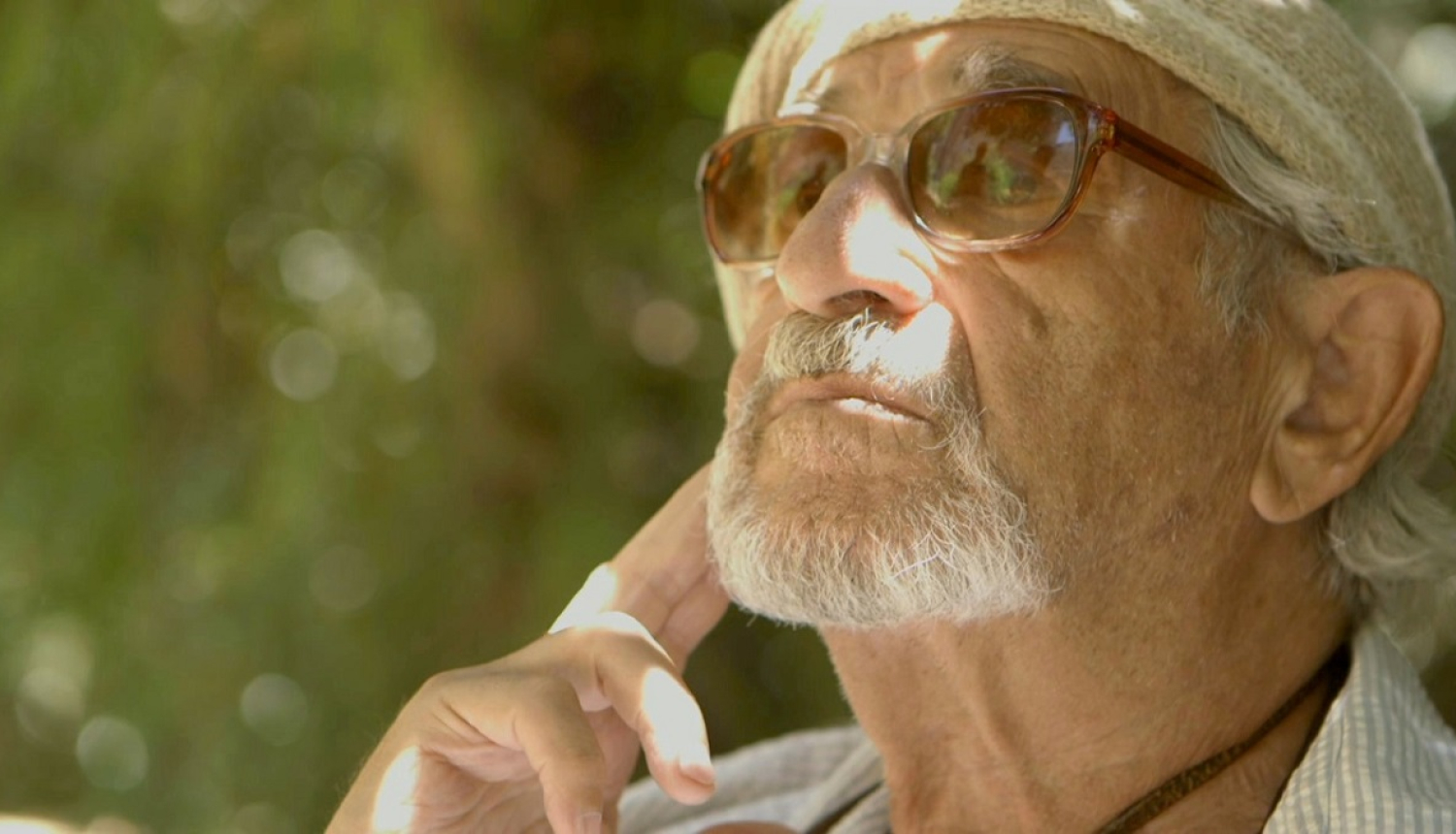 Herca Franka portrets