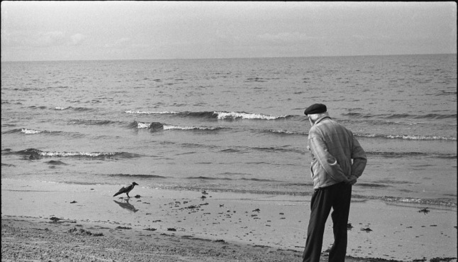 Ivara Tontegodes filmas “Knutifikācija” pirmizrāde