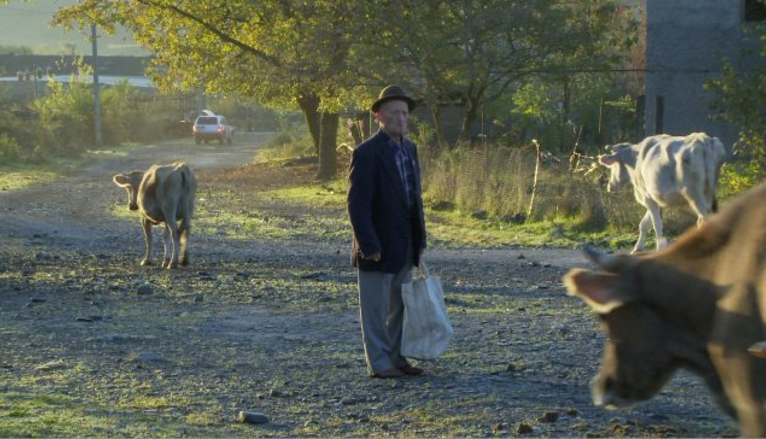 “VFS Films” darbi pieejami internetā bez maksas