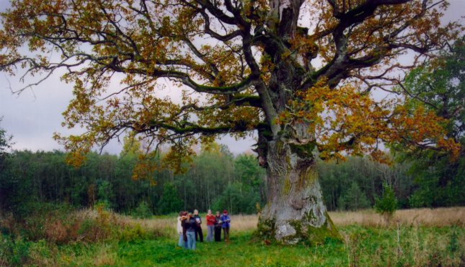 Sarunu ciklā „Simtgade un vēl” – Ivars Seleckis