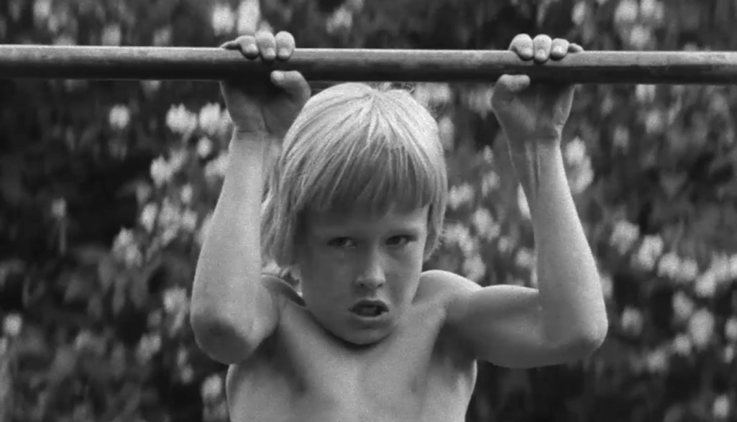 Kadrs no filmas Puikas zirgos