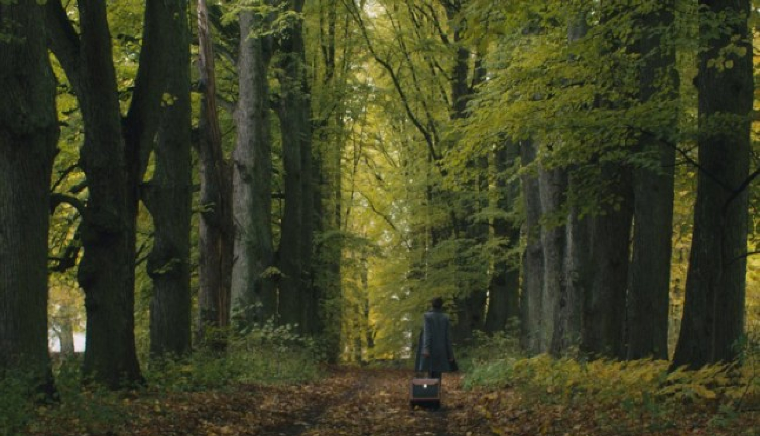 Stanislavs Tokalovs’ “What Nobody Can see” in Production