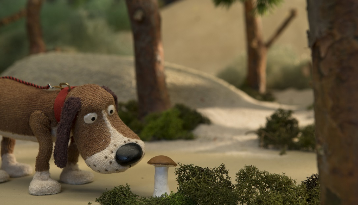 suns un sēne filmas kadrā