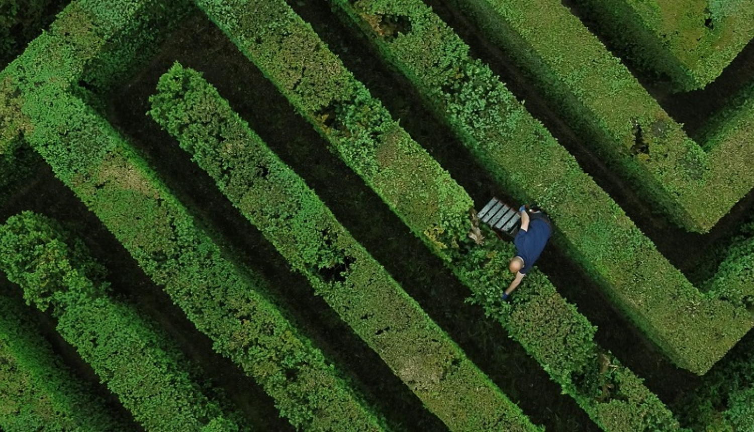 Kadrs no filmas Pēc darba