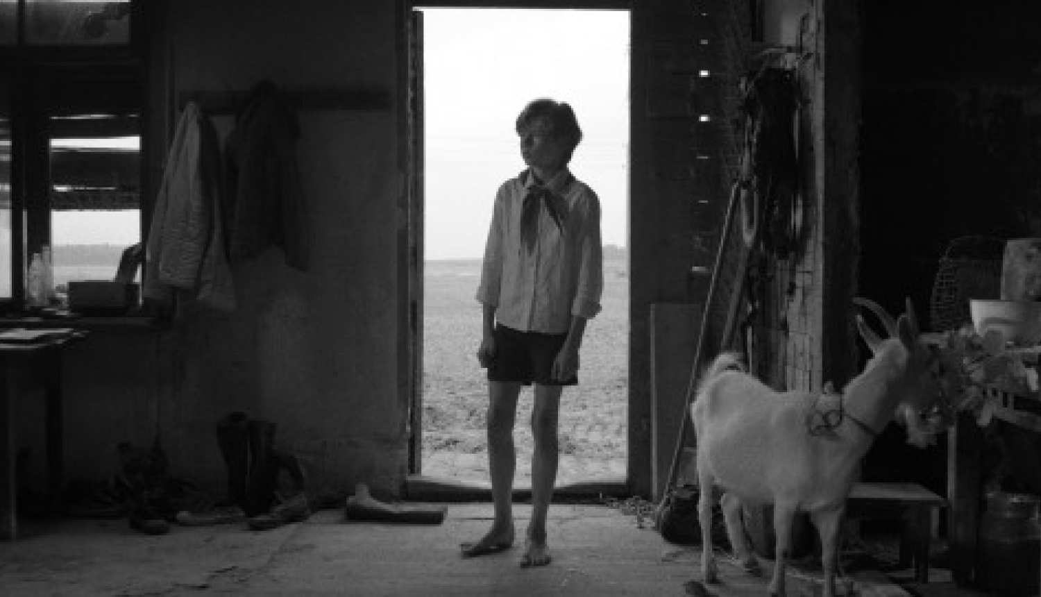 Filma “Ausma” nonāk uz ekrāniem Latvijā Filma “Ausma” nonāk uz ekrāniem Latvijā