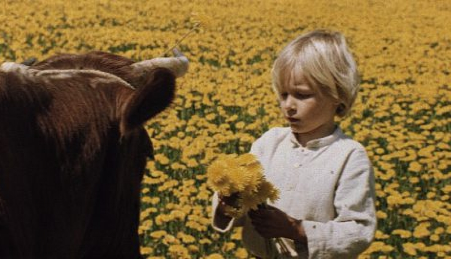 RigaIFF pirmizrādīs restaurēto Aivara Freimaņa filmu “Puika” RigaIFF pirmizrādīs restaurēto Aivara Freimaņa filmu “Puika”