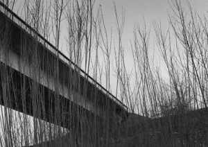 The First Bridge 